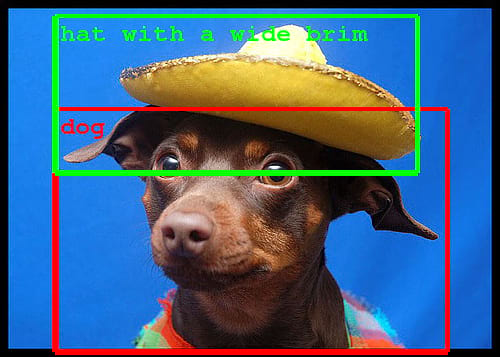 It shows two borders identifying a dog and a hat with a wide brim it's wearing